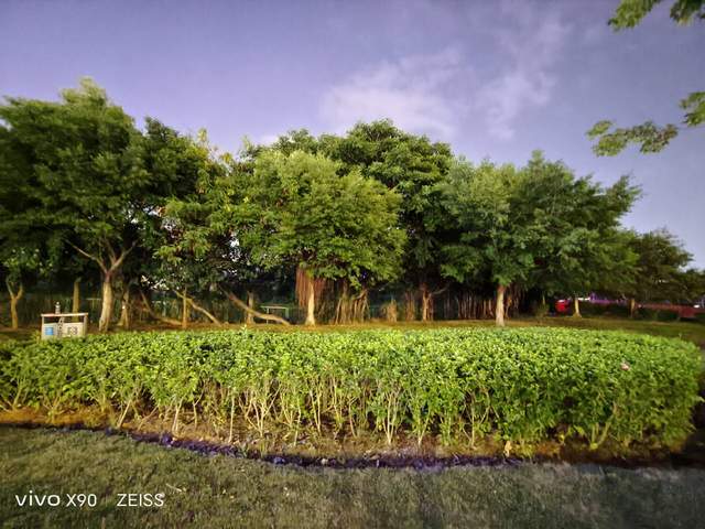 vivo X90实测!综合表现均衡,同价位难寻敌手