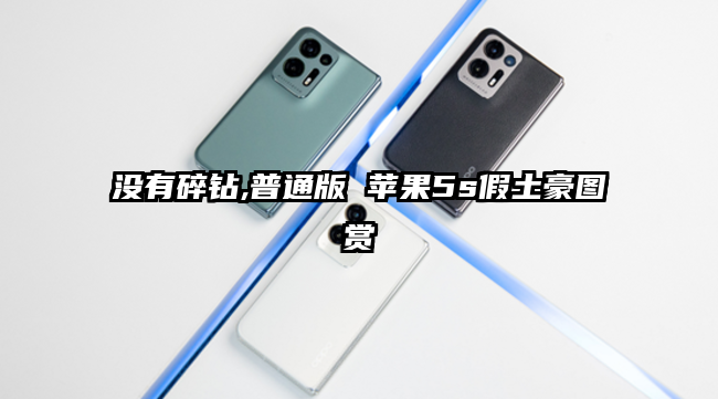 没有碎钻,普通版 苹果5s假土豪图赏