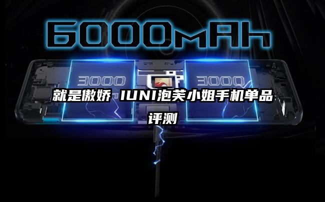就是傲娇 IUNI泡芙小姐手机单品评测