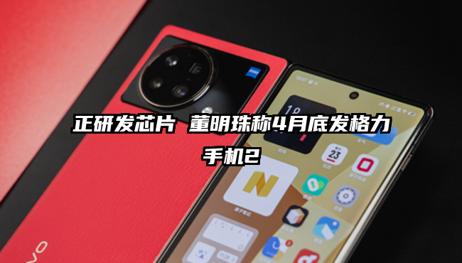 正研发芯片 董明珠称4月底发格力手机2