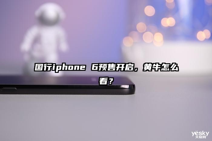 国行iphone 6预售开启，黄牛怎么看？