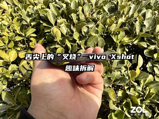 舌尖上的“叉烧” vivo Xshot趣味拆解