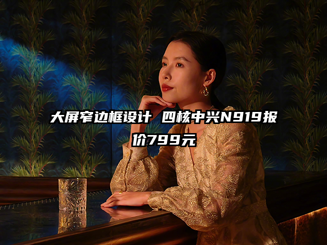 大屏窄边框设计 四核中兴N919报价799元