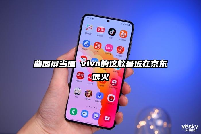 曲面屏当道 vivo的这款最近在京东很火