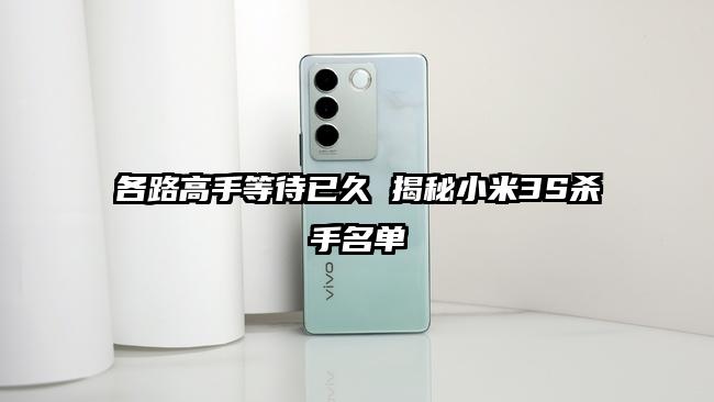各路高手等待已久 揭秘小米3S杀手名单