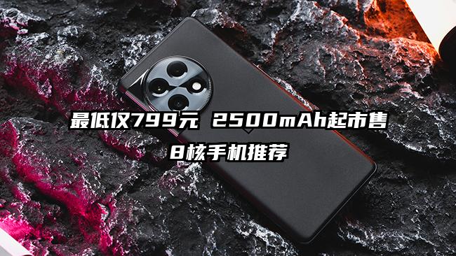 最低仅799元 2500mAh起市售8核手机推荐