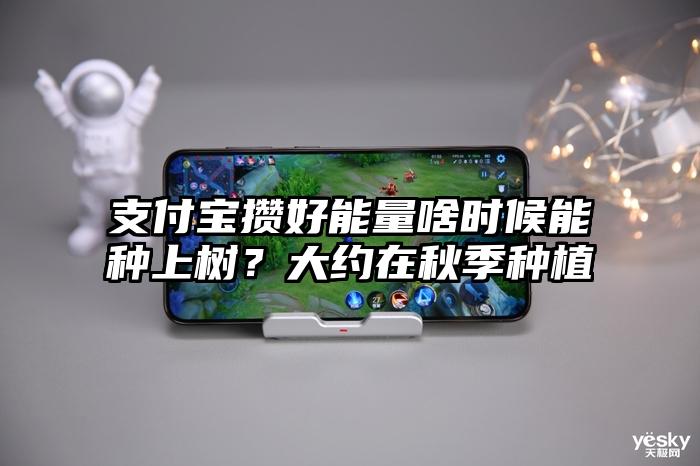 支付宝攒好能量啥时候能种上树？大约在秋季种植