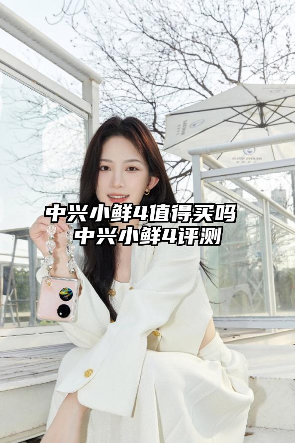 中兴小鲜4值得买吗 中兴小鲜4评测