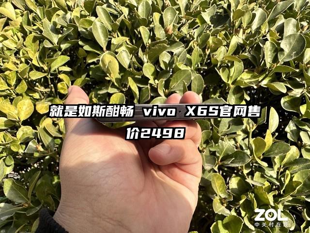 就是如斯酣畅 vivo X6S官网售价2498