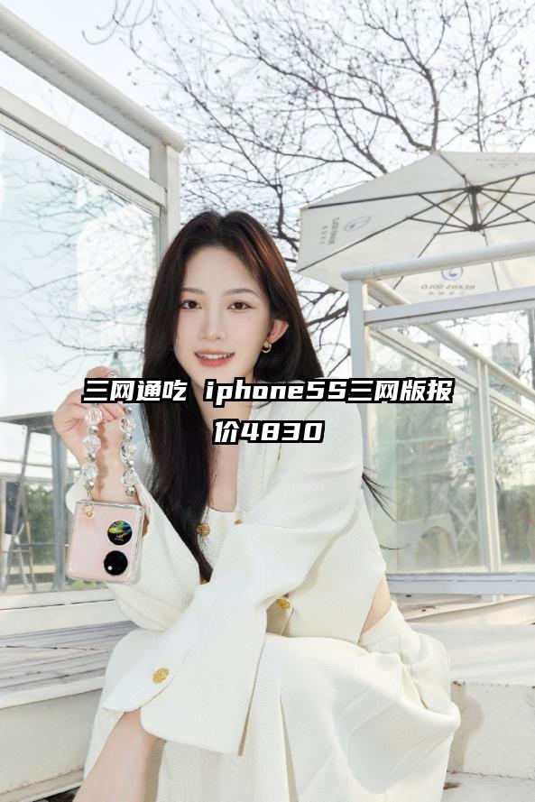 三网通吃 iphone5S三网版报价4830