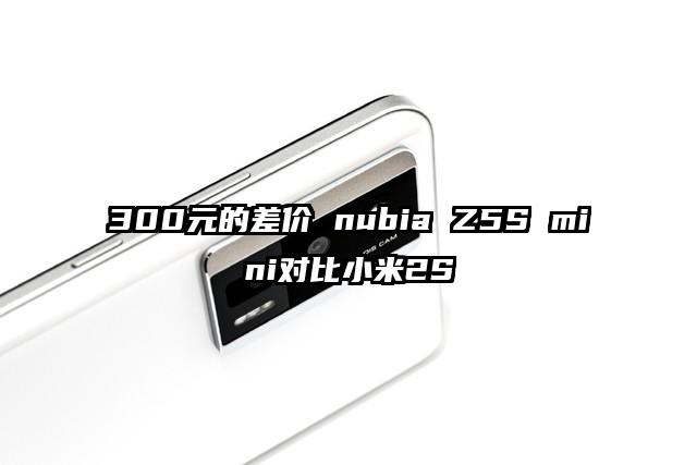 300元的差价 nubia Z5S mini对比小米2S