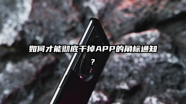 如何才能彻底干掉APP的角标通知?