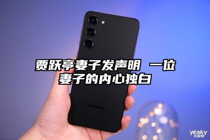 贾跃亭妻子发声明 一位妻子的内心独白