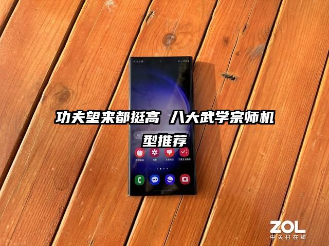 功夫望来都挺高 八大武学宗师机型推荐