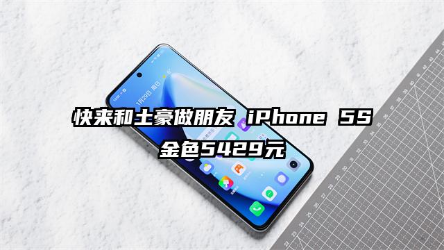 快来和土豪做朋友 iPhone 5S金色5429元