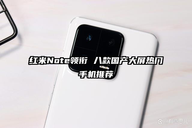 红米Note领衔 八款国产大屏热门手机推荐