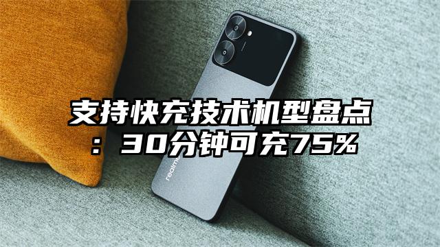 支持快充技术机型盘点:30分钟可充75%