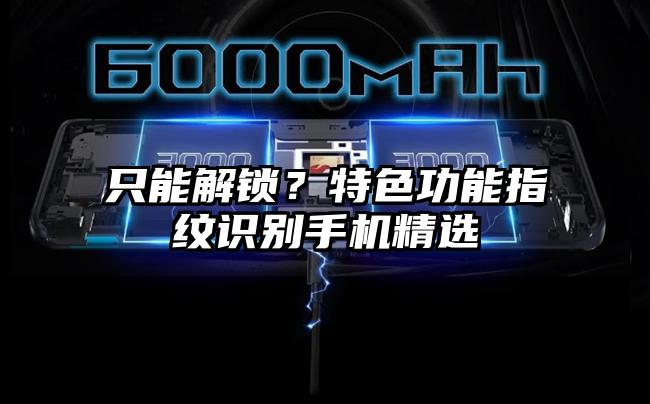 只能解锁？特色功能指纹识别手机精选
