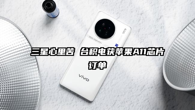 三星心里苦 台积电获苹果A11芯片订单