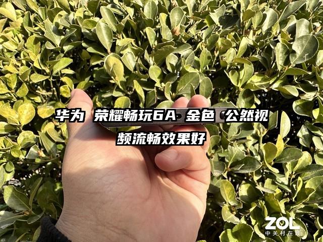 华为 荣耀畅玩6A 金色 公然视频流畅效果好