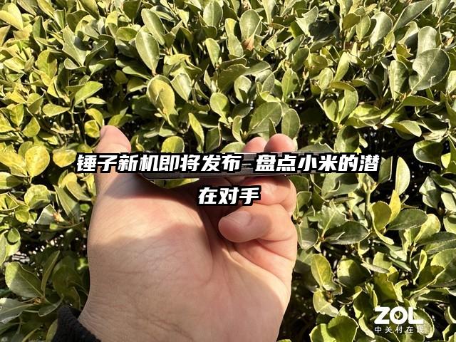 锤子新机即将发布 盘点小米的潜在对手
