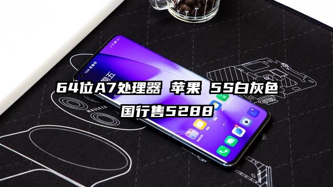 64位A7处理器 苹果 5S白灰色国行售5288