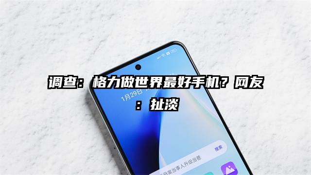调查：格力做世界最好手机？网友：扯淡