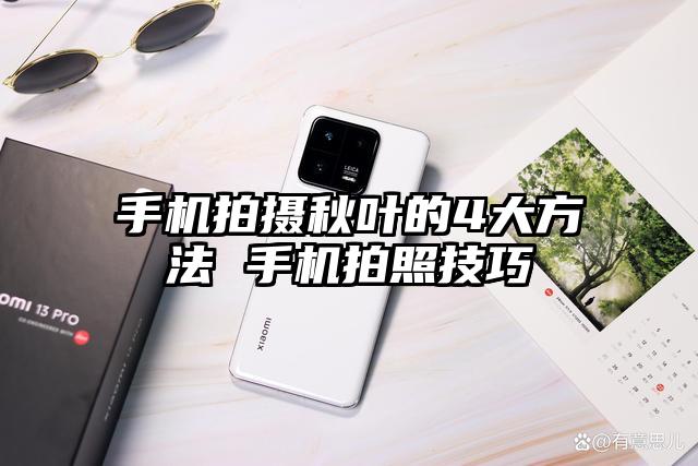 手机拍摄秋叶的4大方法 手机拍照技巧