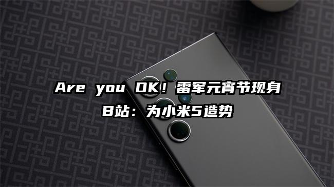 Are you OK！雷军元宵节现身B站：为小米5造势