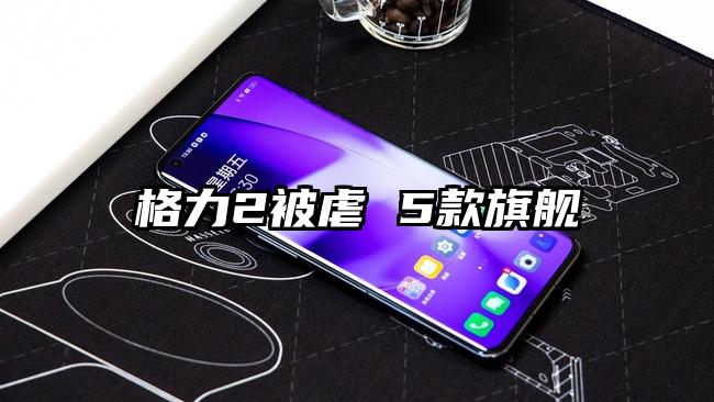 格力2被虐 5款旗舰