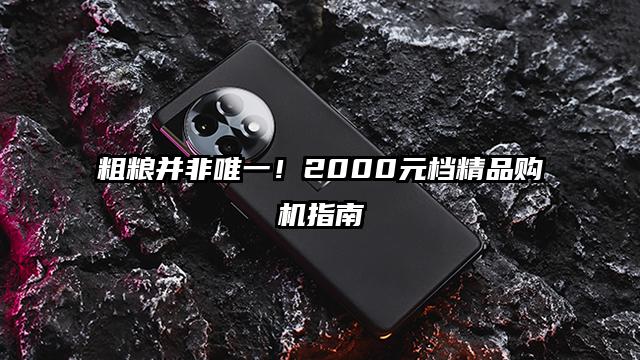 粗粮并非唯一！2000元档精品购机指南