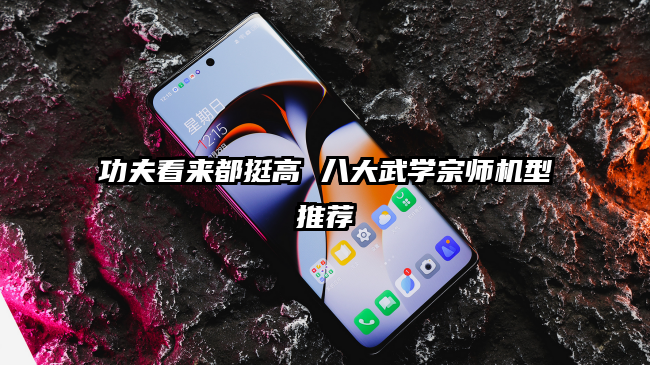 功夫看来都挺高 八大武学宗师机型推荐