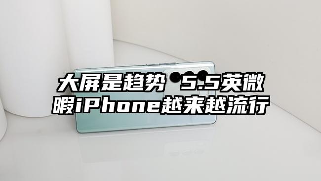 大屏是趋势 5.5英微暇iPhone越来越流行