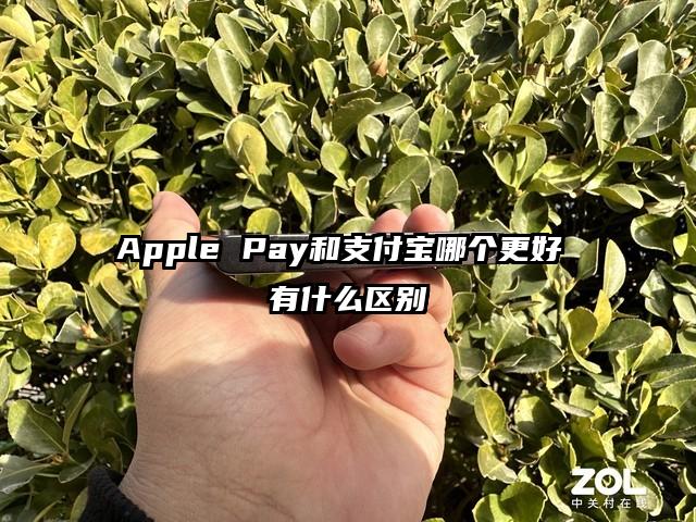 Apple Pay和支付宝哪个更好 有什么区别