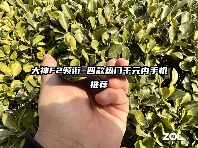 大神F2领衔 四款热门千元内手机推荐