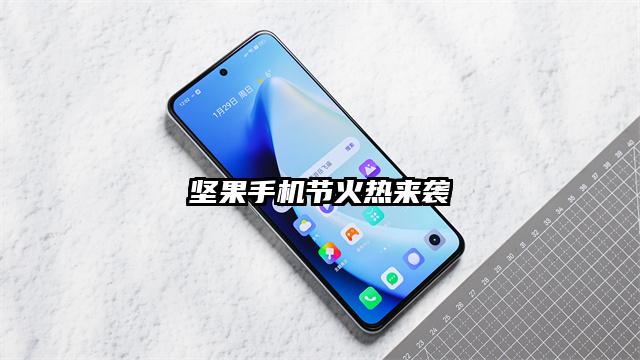 坚果手机节火热来袭