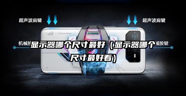 显示器哪个尺寸最好（显示器哪个尺寸最好看）