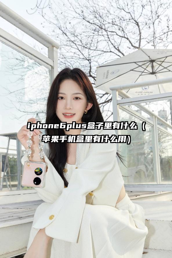 iphone6plus盒子里有什么（苹果手机盒里有什么用）