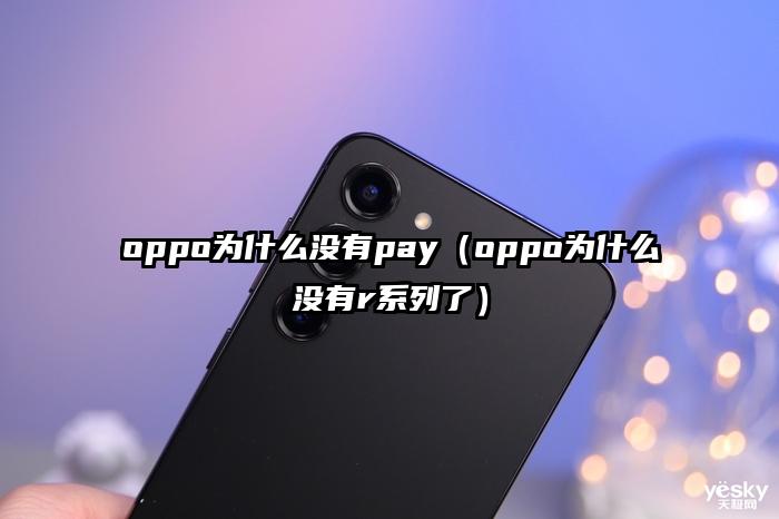 oppo为什么没有pay（oppo为什么没有r系列了）