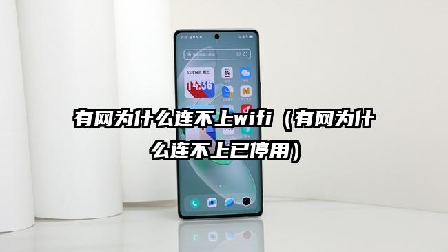 有网为什么连不上wifi（有网为什么连不上已停用）