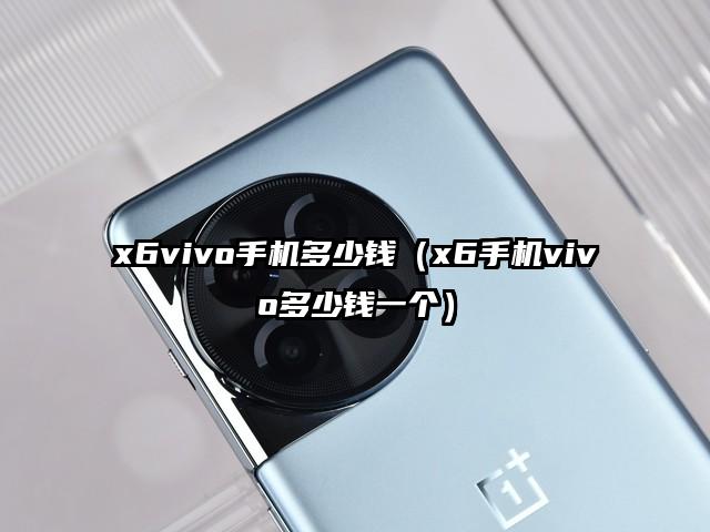 x6vivo手机多少钱（x6手机vivo多少钱一个）