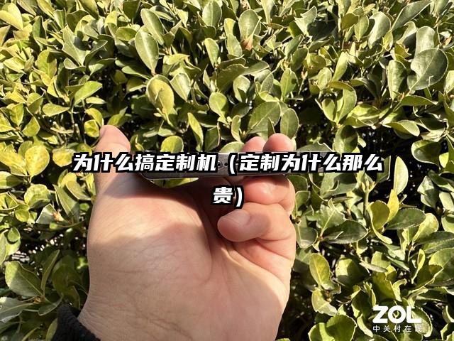 为什么搞定制机（定制为什么那么贵）