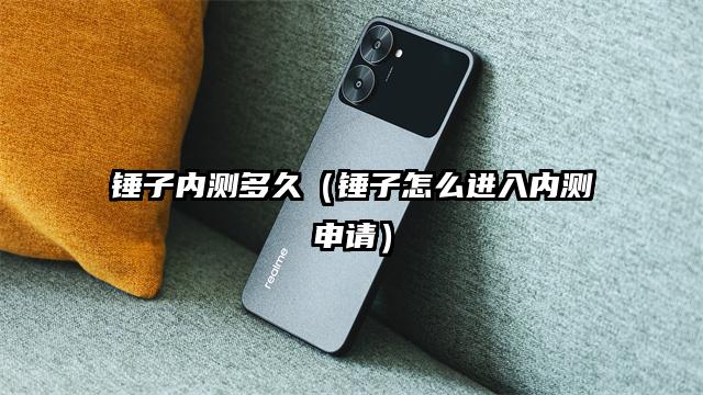 锤子内测多久（锤子怎么进入内测申请）