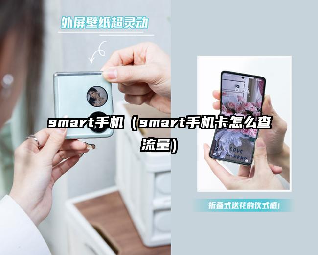 smart手机（smart手机卡怎么查流量）