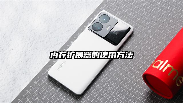 内存扩展器的使用方法