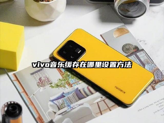 vivo音乐缓存在哪里设置方法