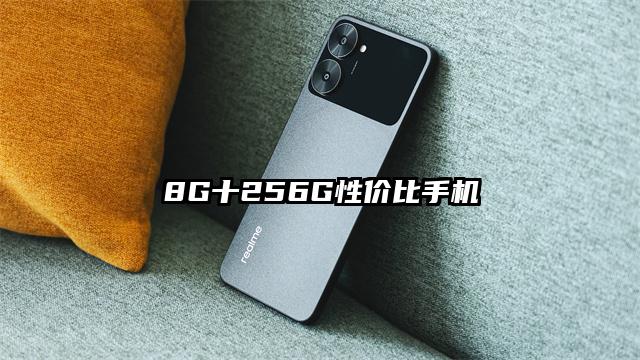 8G十256G性价比手机