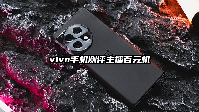 vivo手机测评主播百元机