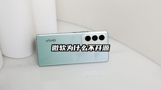 微软为什么不开源