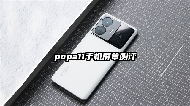popa11手机屏幕测评